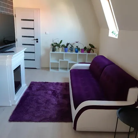 Apartament Pasja Apartment *